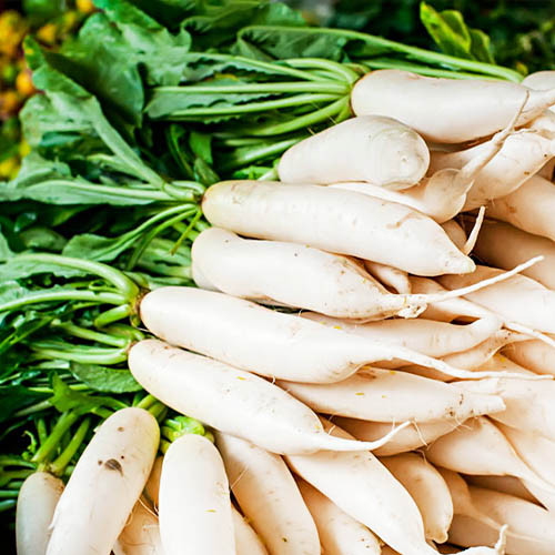 Дайкон Кумамото 200 семян